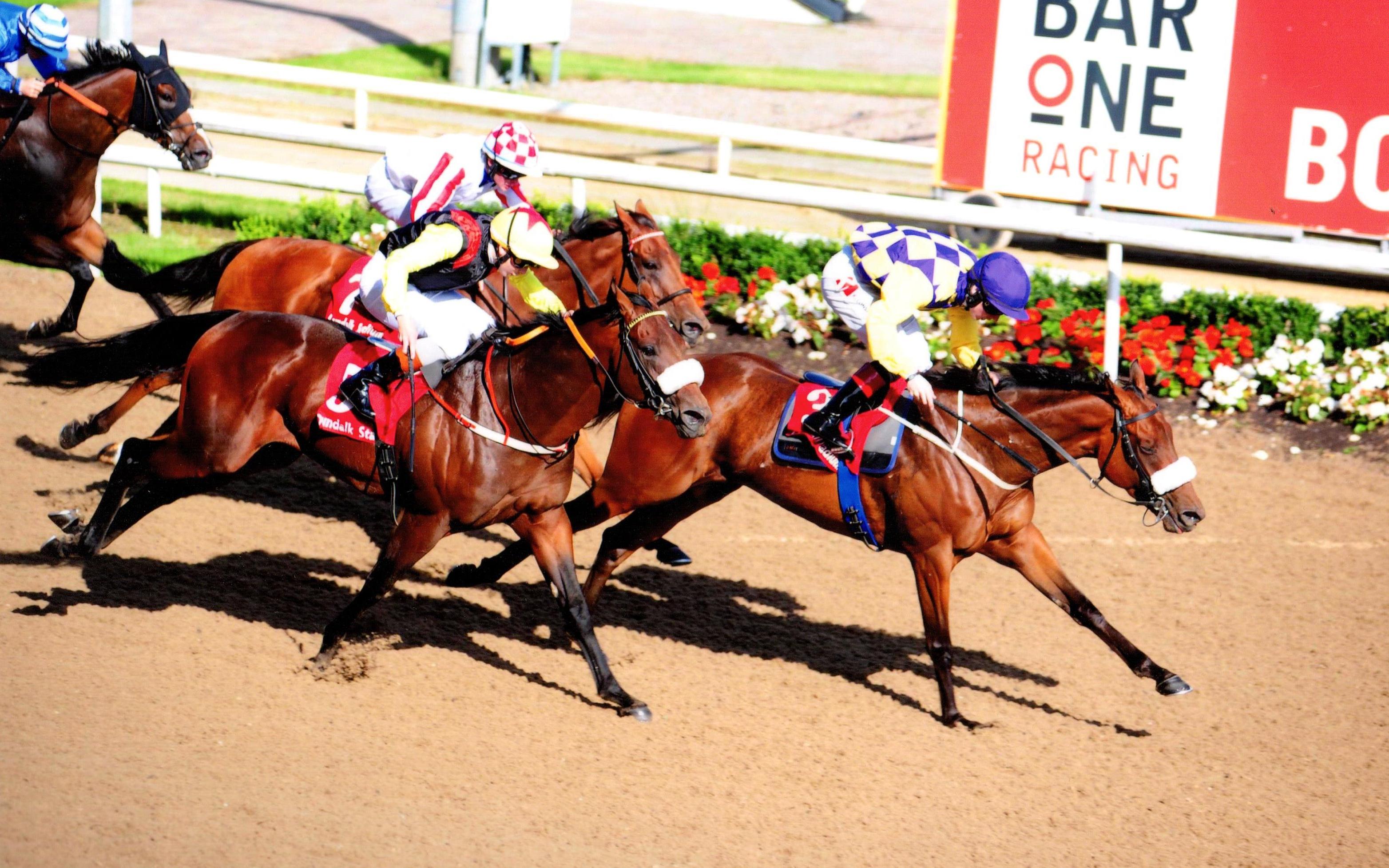 RECKLESS ENDEAVOUR gets back to winning ways at Dundalk 18th August 2017